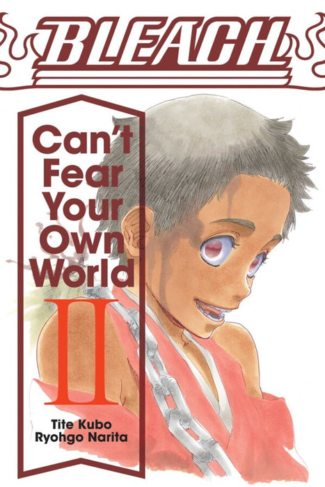 Bleach: Can't Fear Your Own World Light Novel, Vol. 2